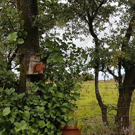 Cosy Cottage On The Causeway Coast And Glens Ballycastle Luaran gambar